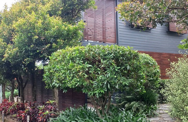 Vista72 on Mount Tamborine. Entire house.