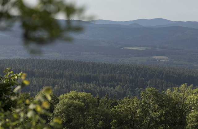 Vosges/Alsace :Gîte with panoramic views over valley and mountains in the heart of nature.