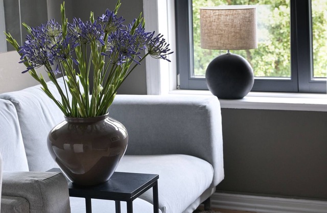Vrbo Property