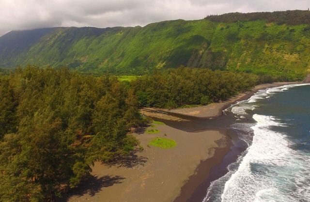 Waipio Valley and Ocean View