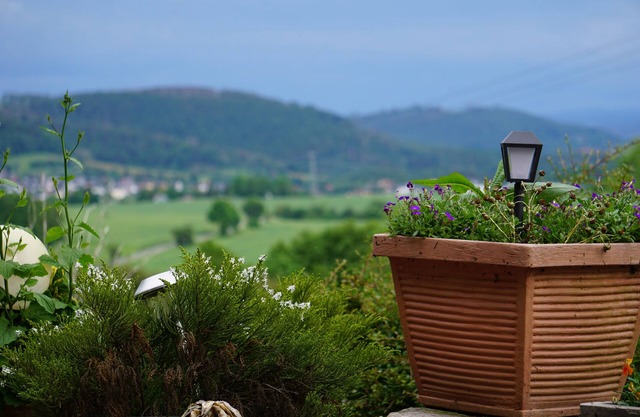 Waldhotel Weitblick