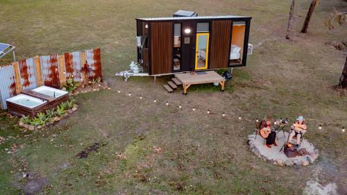 Wallaby by Tiny Away