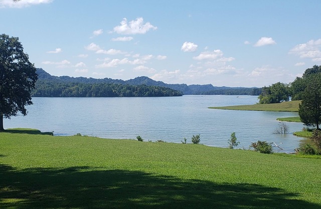 Water front cottage w/water access, firepit & great sunsets.