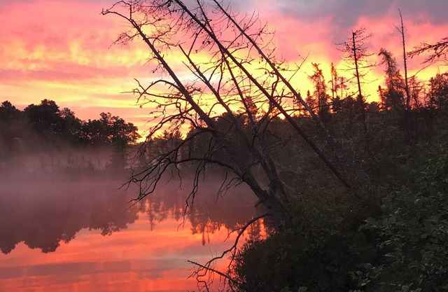 Waterfront Cabin– Canoes, Kayaks & Pontoon! Pet-Friendly Escape!