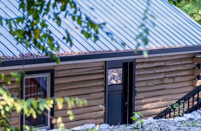 Waterfront Cozy Log Cabin on Rough River Lake