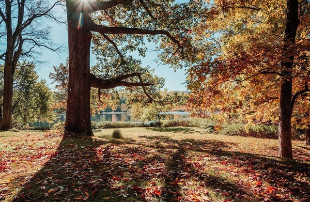 Waterfront Ranch on The Delaware River