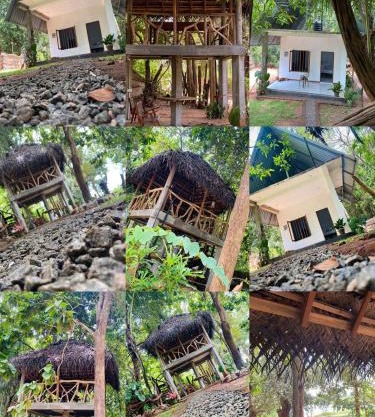 Wauthaulla Homestay