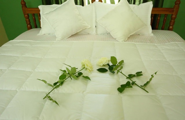 Wayanad Stay- A plantation homes stay