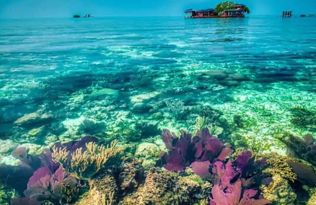Welcome to Bird Island!