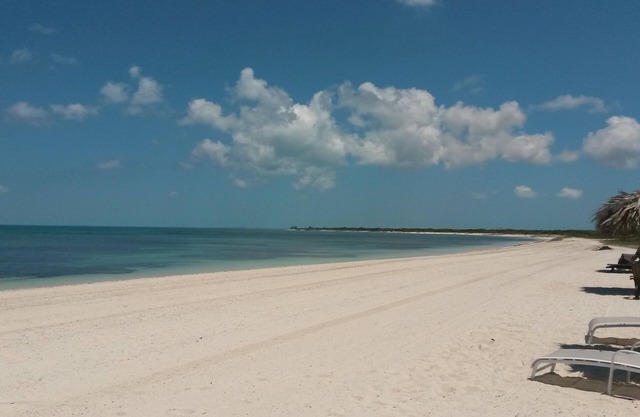 Welcome To Dolloa! Your Turks & Caicos Spacious & Breezy 2,200 Sq Ft Oasis!