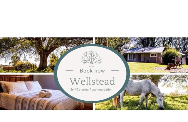 Wellstead Country Manor
