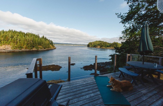Whales and eagles out your front door! Stunning ocean views, private and quie