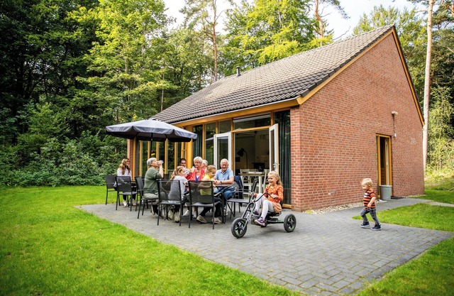 When staying in this 12-person bungalow, you don't have a garden, but a whole forest! On the terrace, you can enjoy the outdoors.
