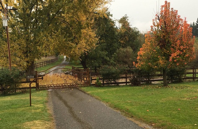 Whirlawind Horse Ranch We are pet friendly!