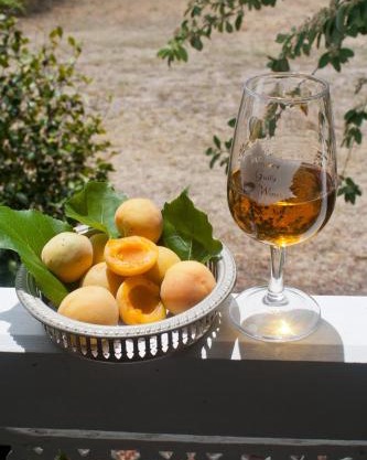 Whiskey Gully Cottages