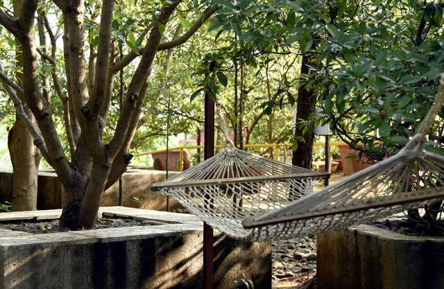 Wild Camp Resort