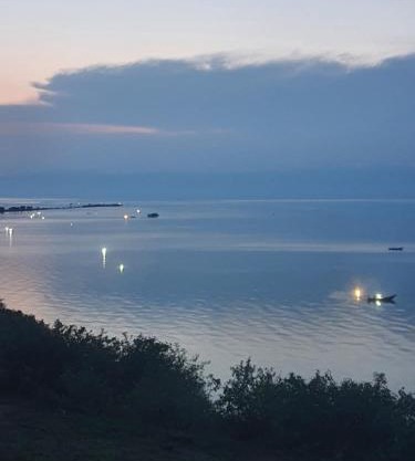 Wild Camping Lake Albert Shores