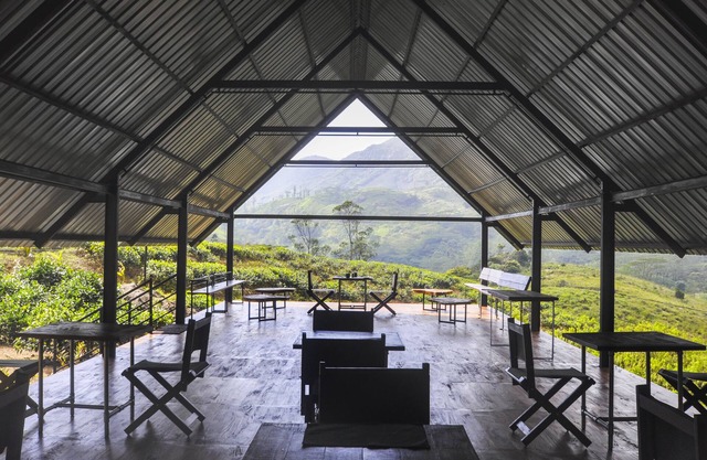 Wild Glamping