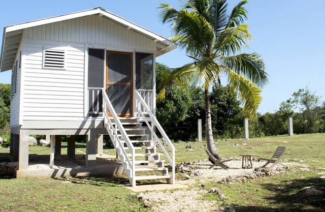 Wild Horse Cottage #1