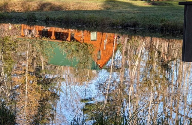 Wildlife Cabin! Spring-fed Ponds! Apple Orchard!
