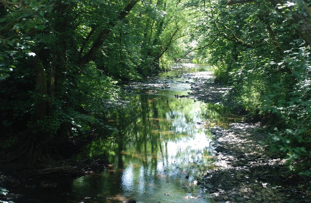 Wildlife haven with river