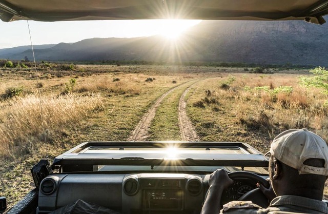 Wildside Safari Camp