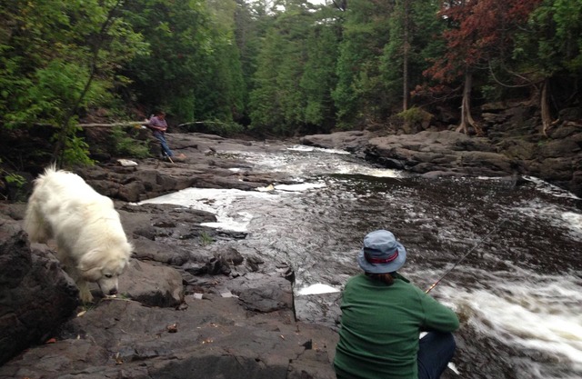 Wildwood Cottage, Duluth, private wooded retreat on the North Shore