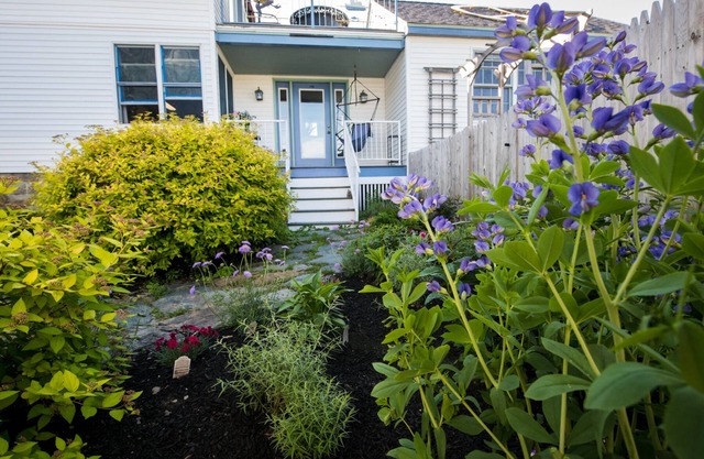Willard Beach Get Away - Dog Friendly - Steps from the shore!