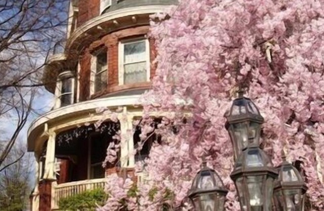 Wilson House Bed & Breakfast