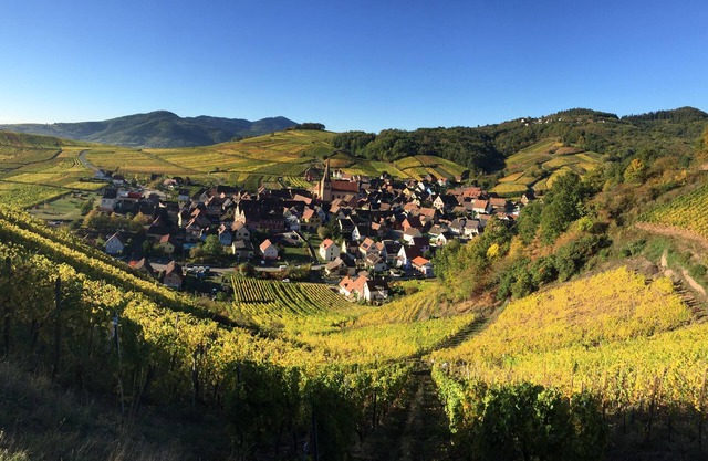 Winehouse 1751 near Colmar, one hour away from Germany and Switzerland