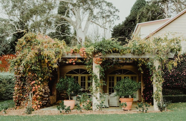 Wisteria Lodge | Mt Wilson | 24 Acres of Established Heritage Botanical Garden