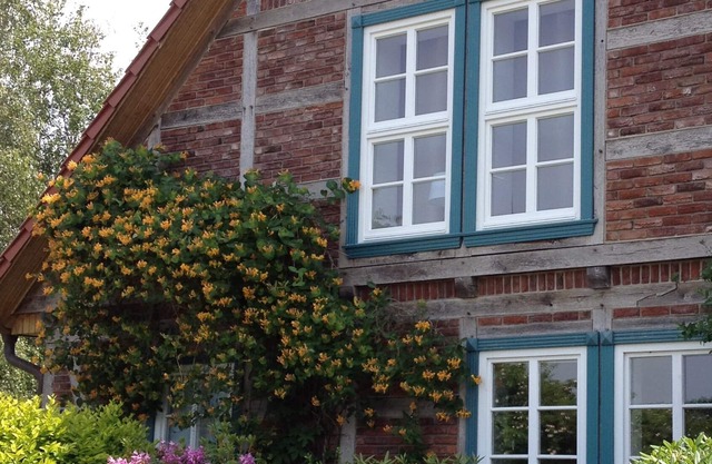 Wohlfühlwohnung mit Wintergarten und Terrasse