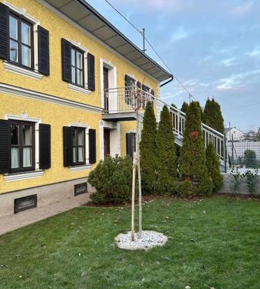 Wohnung in Kronstorf