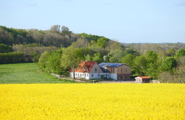 Wonderful apartment in the middle of the countryside and close to the water
