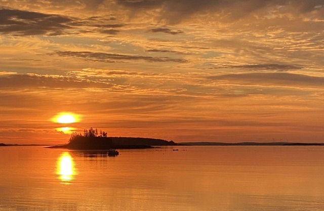 Wonderful Artist's Retreat : Private Maine Waterfront : Monet would dig it!