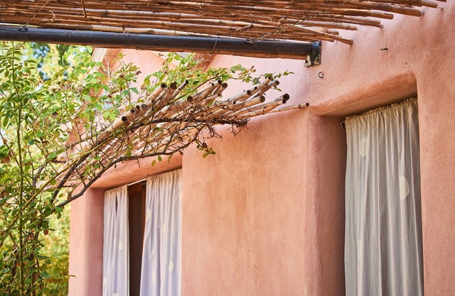 Wonderful flat in the garden - ecologically between vineyard and olive grove