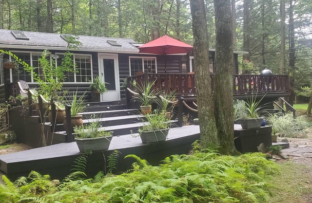 Wooded Streamside Catskills Cabin
