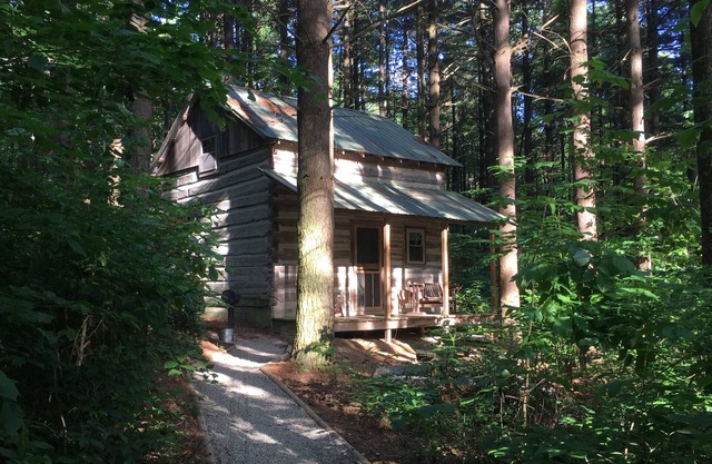 Woodland view-Green Log Cabin
