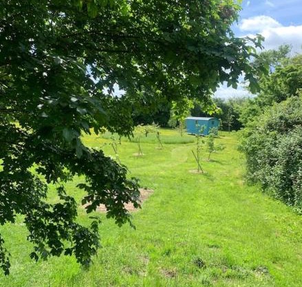Woodpecker Shepherd Hut with private facilities Newmarket CB8