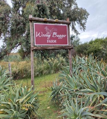 Woolly Bugger Farm