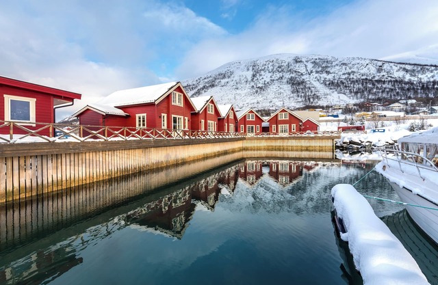 XLyngen