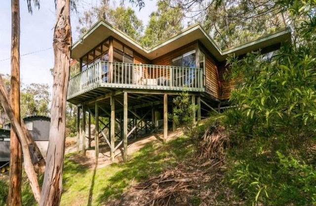 Yaringa - Retreat in the trees