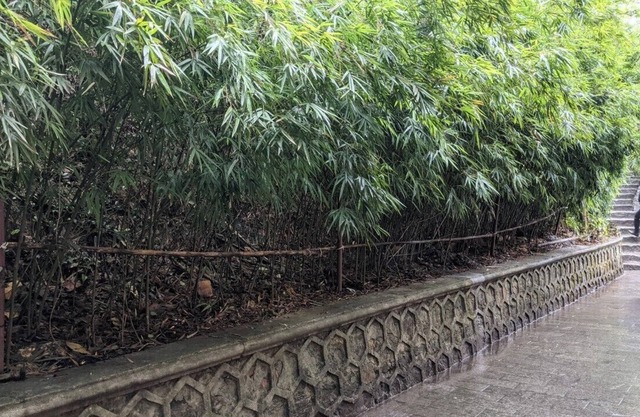 Yen Tu Boutique Zen Garden