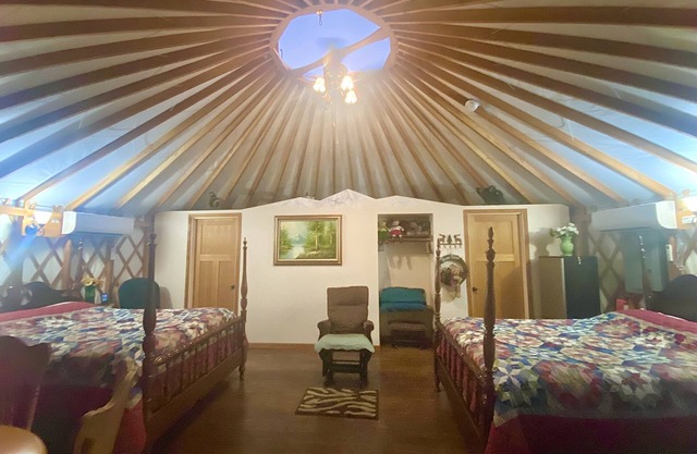 Yogi's Den is a playfully themed Yurt starring Yogi the bear and his pals.