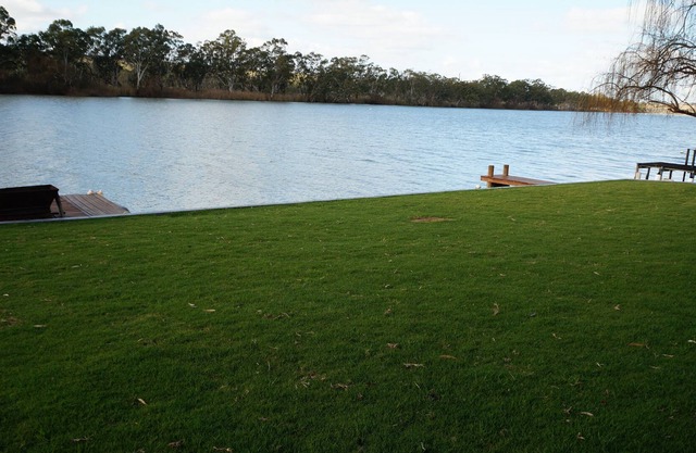 Younghusband Rivertime - Riverfront across the ferry from Mannum