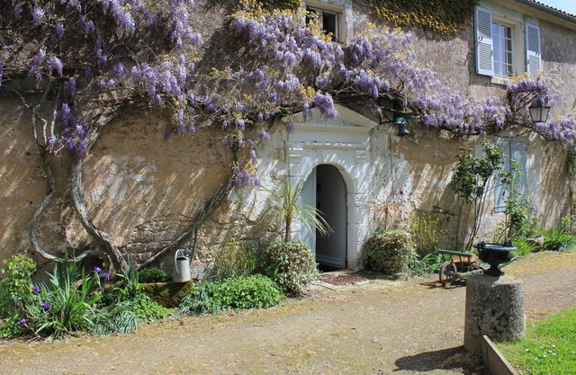 Your apartment in the old Abbey with flowers, 2 steps from the ocean