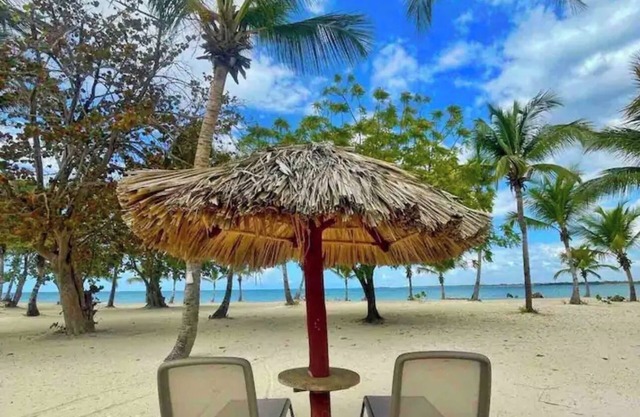 Your Caribbean island paradise condo just steps away from the beach
