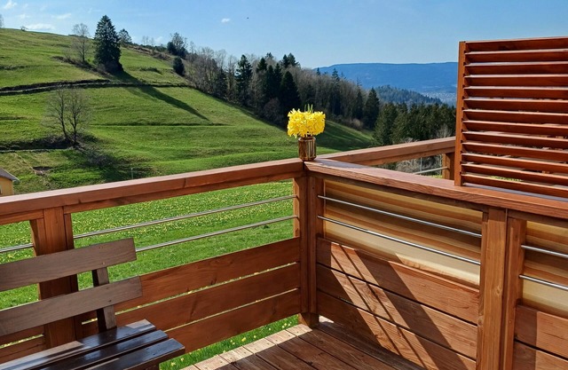 YOUR HOLIDAYS IN PEACE IN THE HEART OF VOSGES