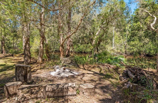 Your own stretch of wilderness river only 15 mins from Hastings St, incl kayaks