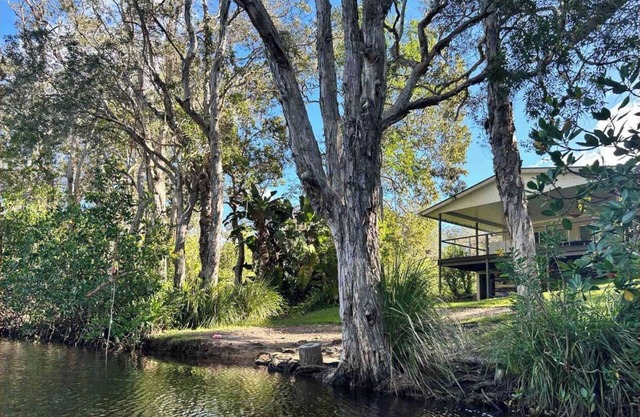 Your own stretch of wilderness river only 15 mins from Hastings St, incl kayaks